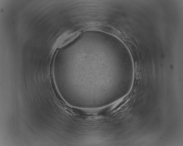 X0000071770099200606301205