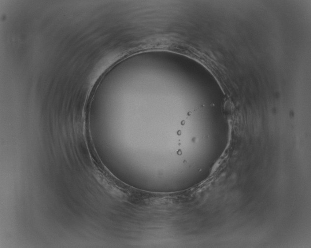 X0000071770100200606301205