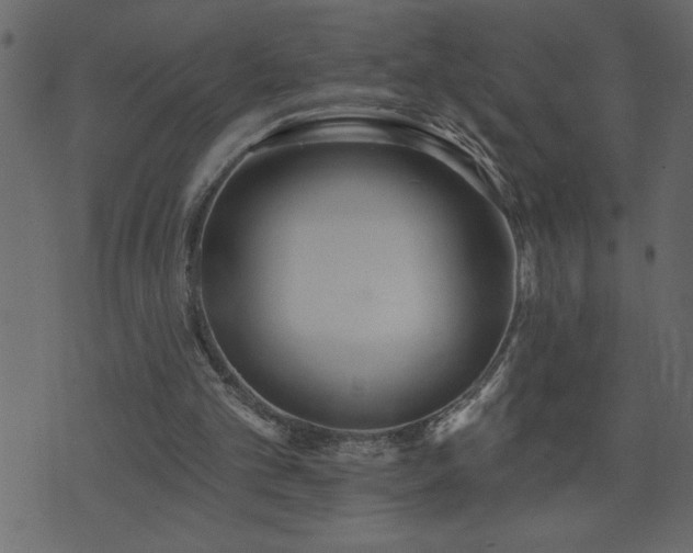 X0000071770101200606301205