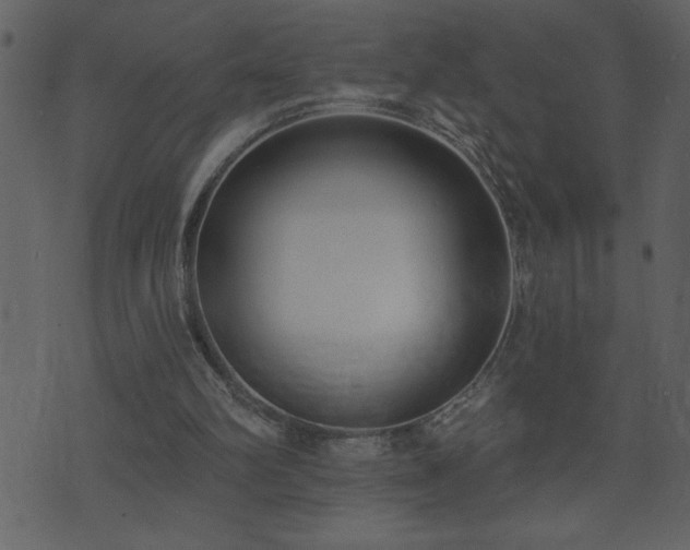 X0000071770102200606301205