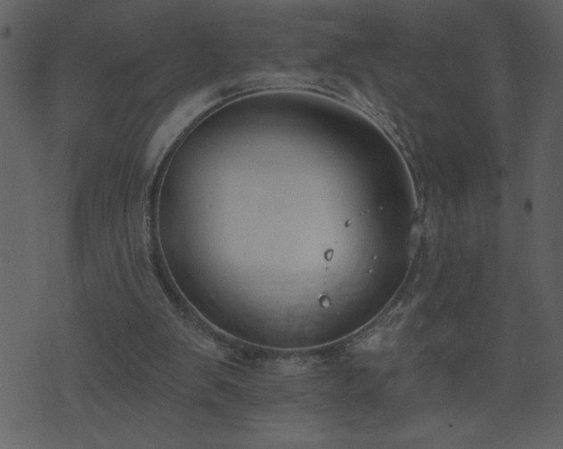 X0000071770103200606301205