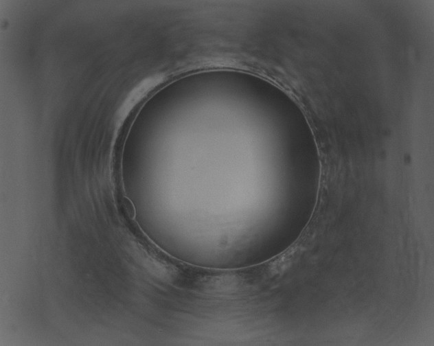 X0000071770104200606301205