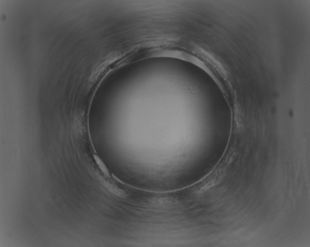 X0000071770105200606301205