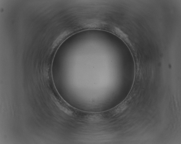 X0000071770106200606301205