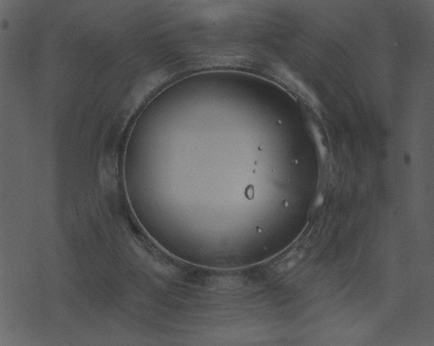 X0000071770107200606301205