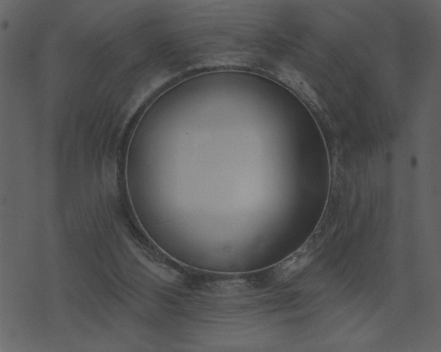 X0000071770108200606301205