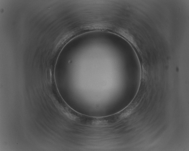 X0000071770109200606301205