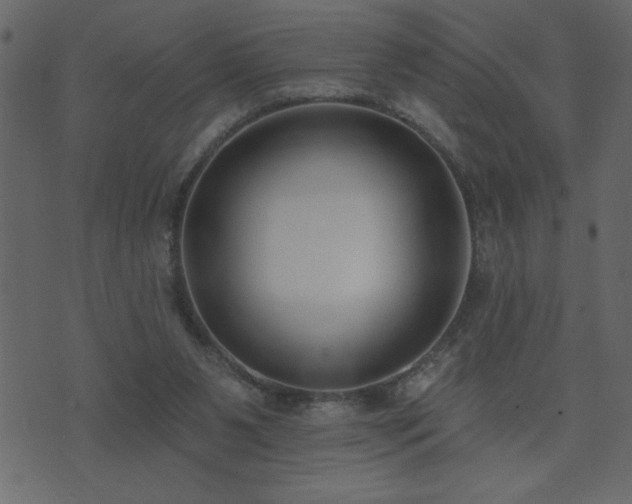 X0000071770111200606301205