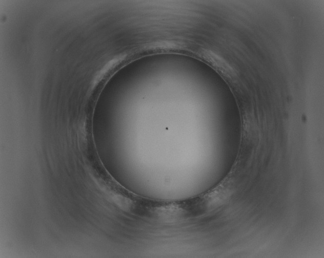 X0000071770112200606301205