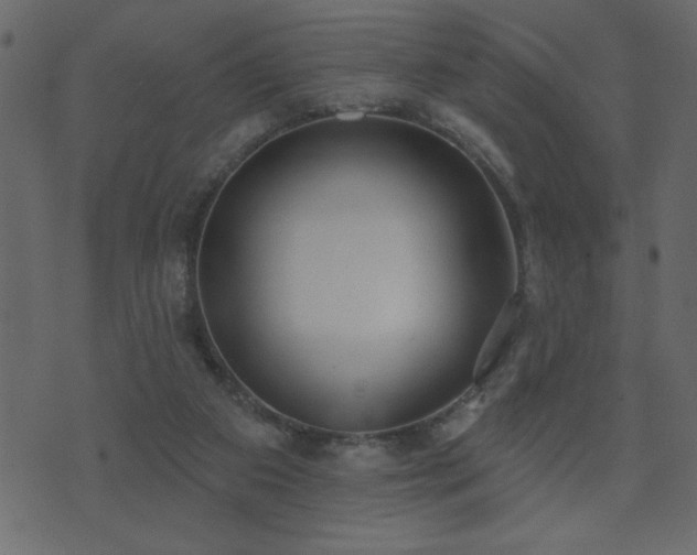 X0000071770113200606301205