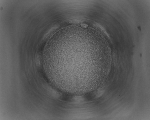 X0000071770114200606301205