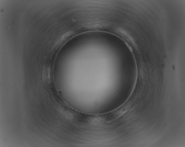 X0000071770115200606301205