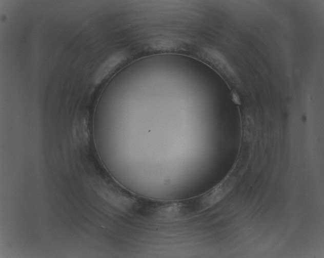 X0000071770116200606301205