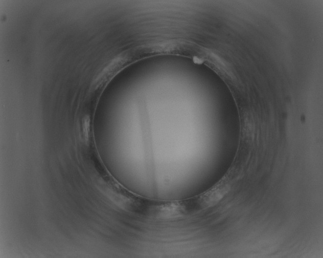 X0000071770118200606301205