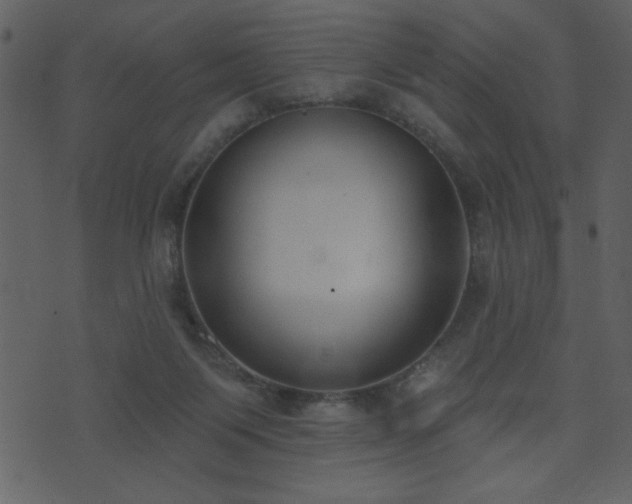 X0000071770119200606301205