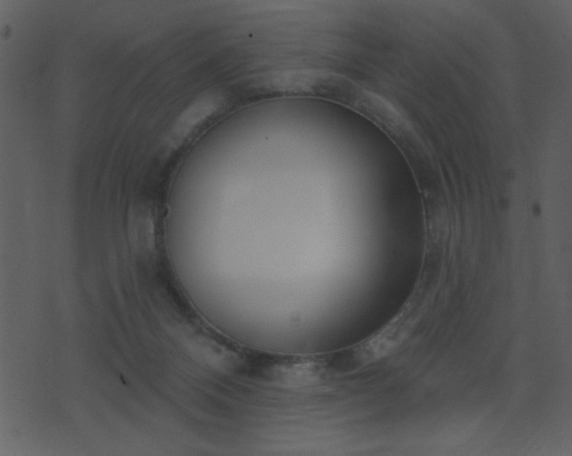 X0000071770120200606301205