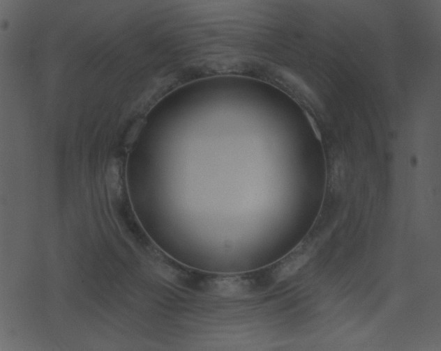 X0000071770121200606301205