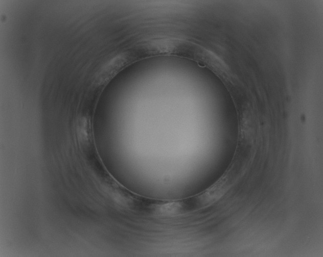 X0000071770122200606301205