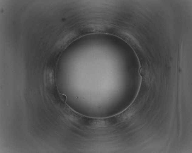 X0000071770123200606301205