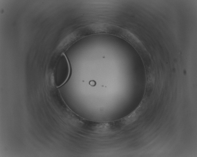 X0000071770124200606301205