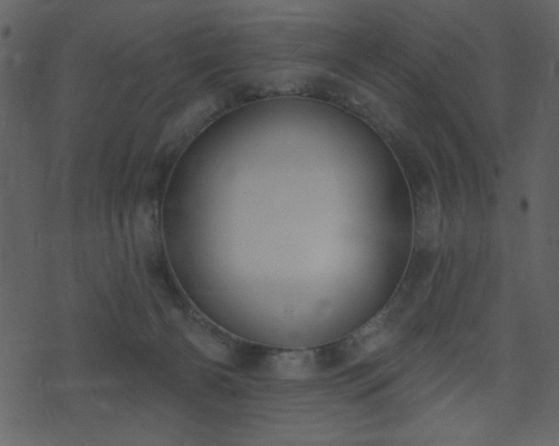 X0000071770126200606301205