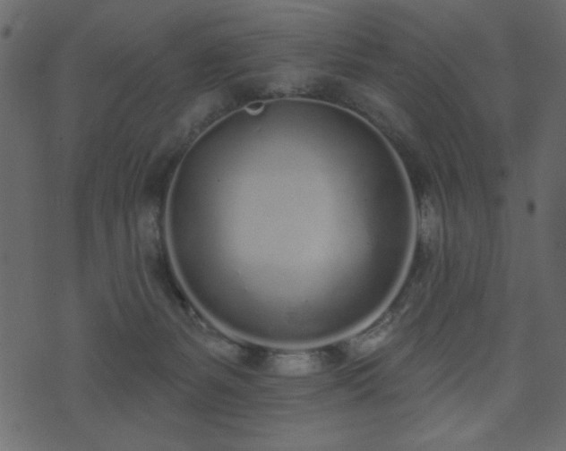 X0000071770127200606301205