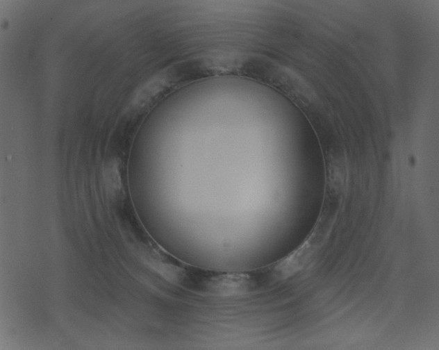 X0000071770128200606301205