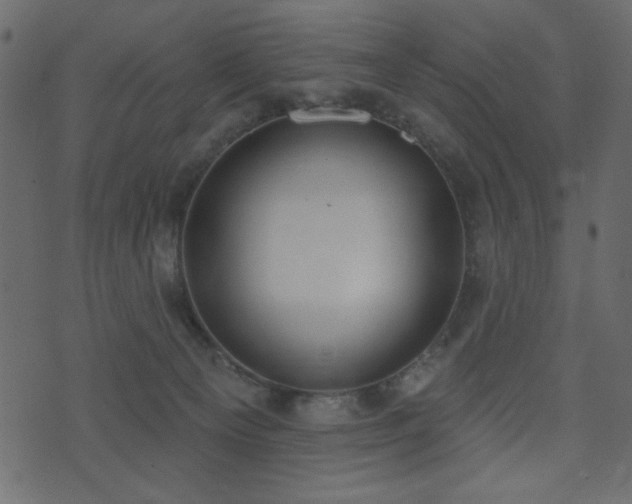 X0000071770129200606301205