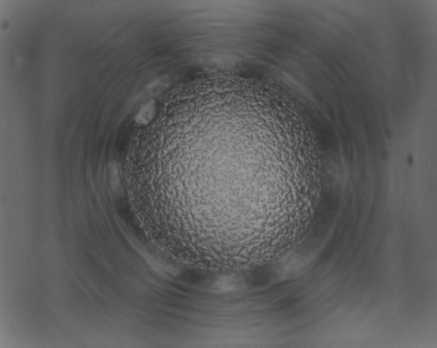 X0000071770130200606301205