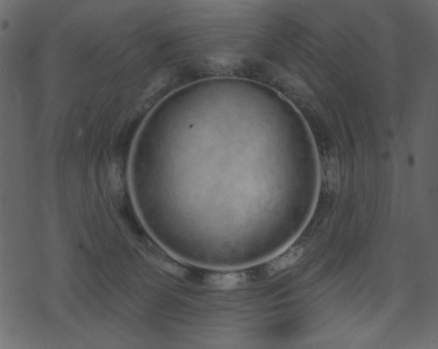 X0000071770131200606301205