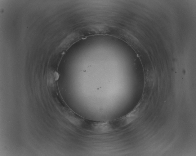 X0000071770132200606301205