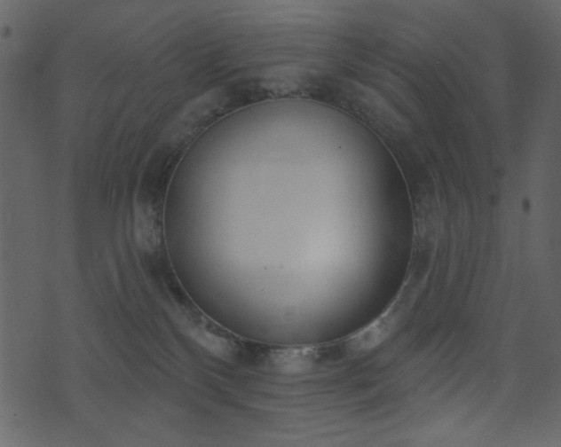 X0000071770136200606301204