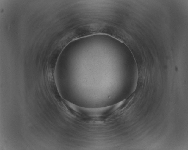 X0000071770137200606301204