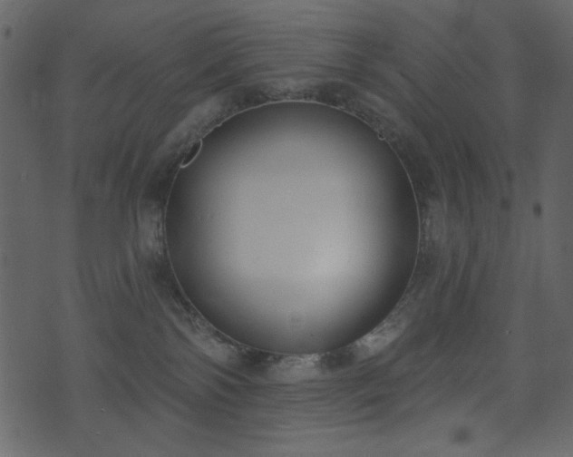 X0000071770138200606301204