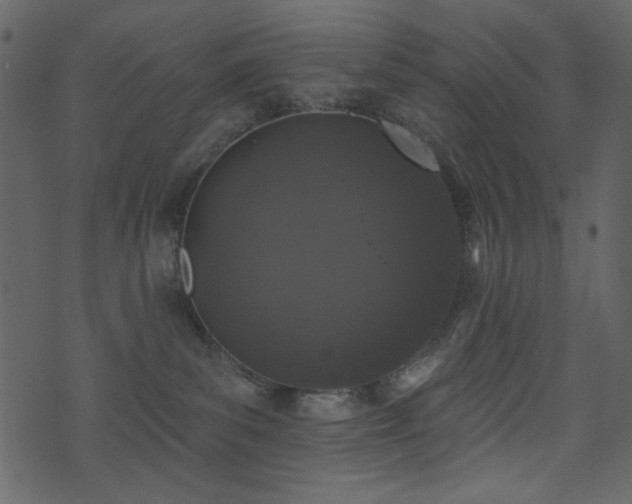 X0000071770139200606301204