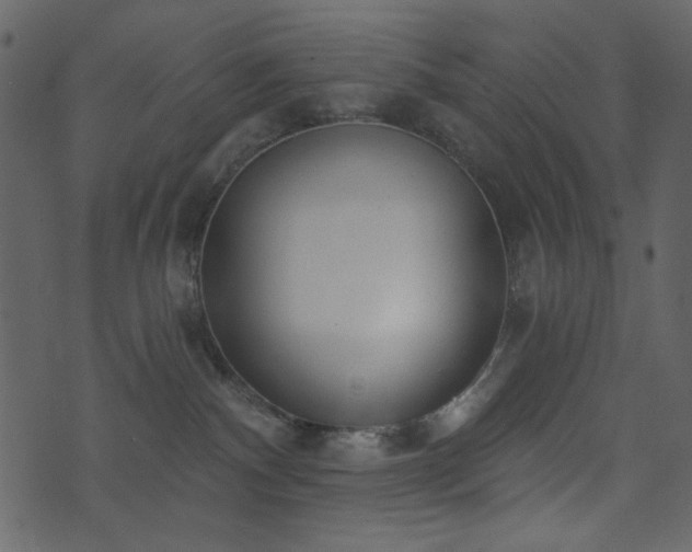 X0000071770140200606301204