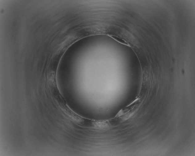 X0000071770141200606301204