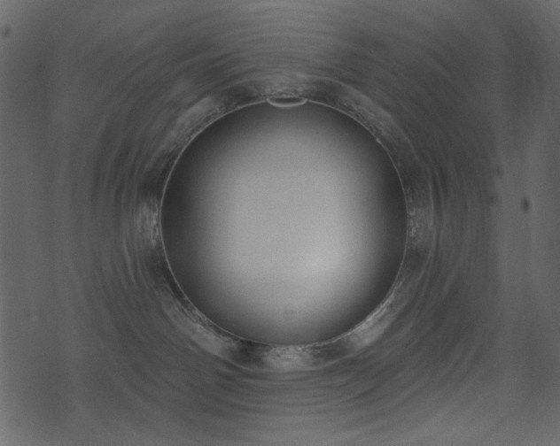 X0000071770142200606301204