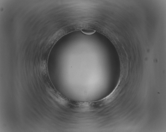 X0000071770144200606301204