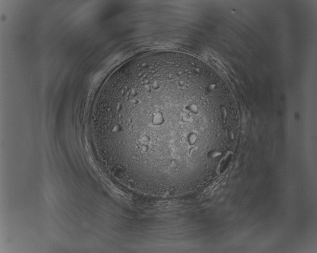 X0000071770145200606301204