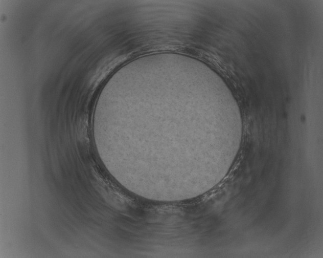 X0000071770146200606301204