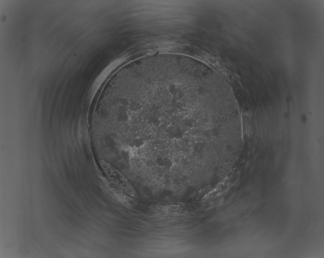 X0000071770147200606301204