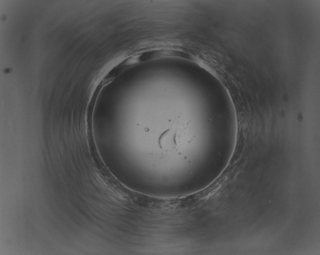 X0000071770148200606301204