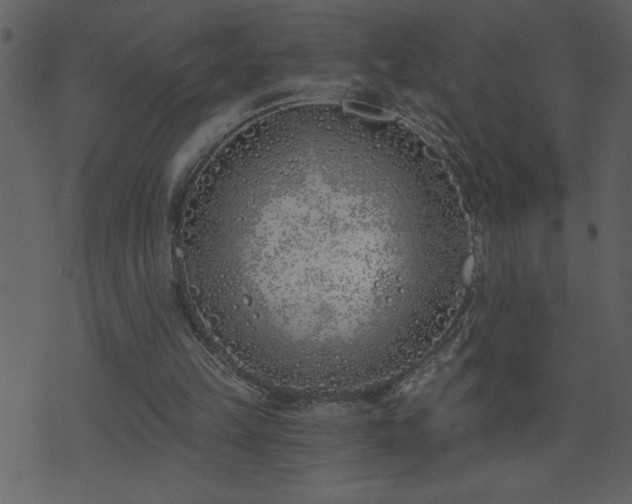 X0000071770149200606301204