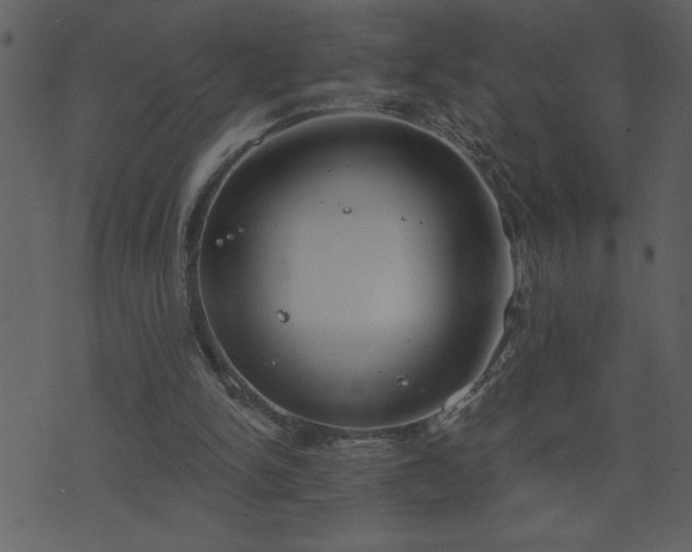 X0000071770150200606301204