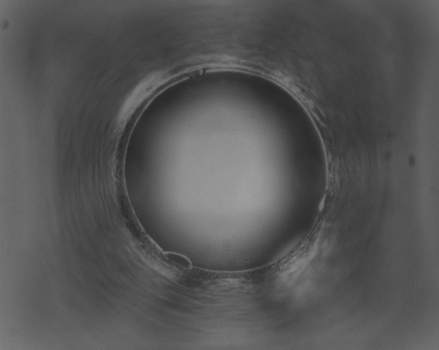 X0000071770151200606301204