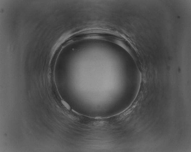 X0000071770152200606301204