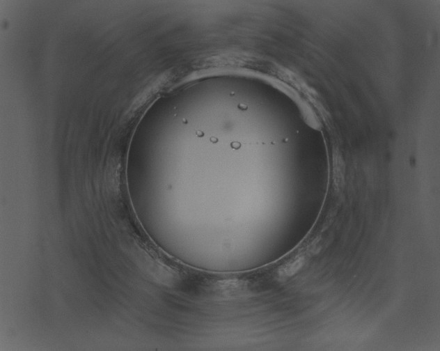 X0000071770153200606301204