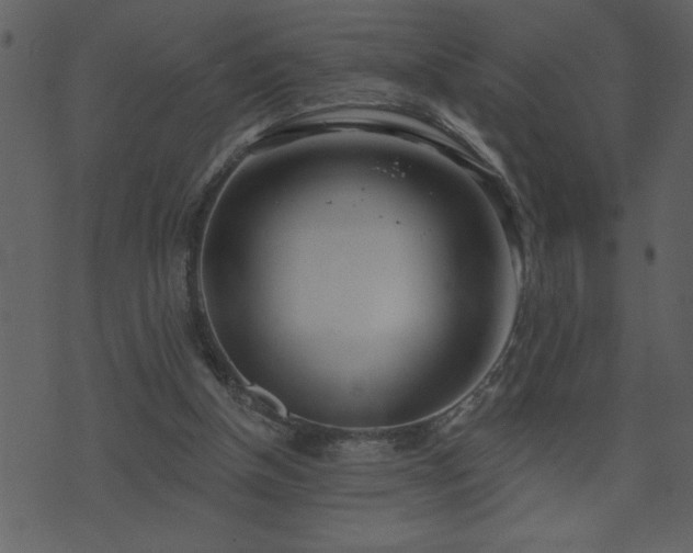 X0000071770154200606301204