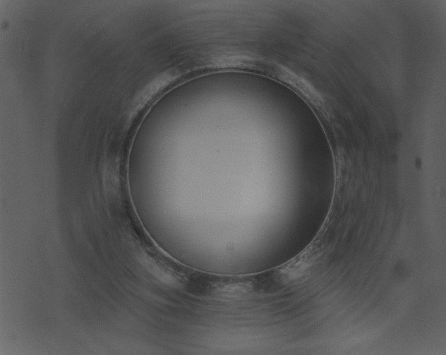 X0000071770155200606301204